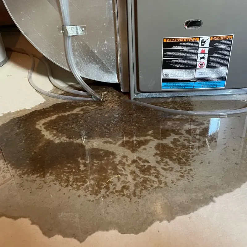Pipe Burst and Leak Restoration in Fruita, CO