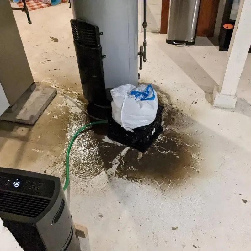 Sewage Backup Cleanup Service in Fruita, CO